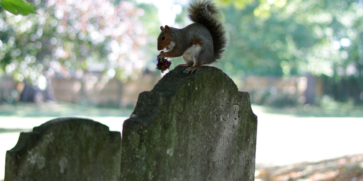 Gravestone in Priory Church Cemetery