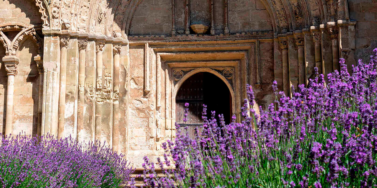 The Priory Entrance with Lavender